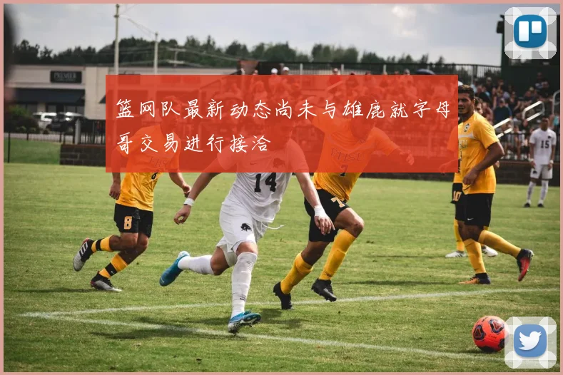 篮网队最新动态尚未与雄鹿就字母哥交易进行接洽